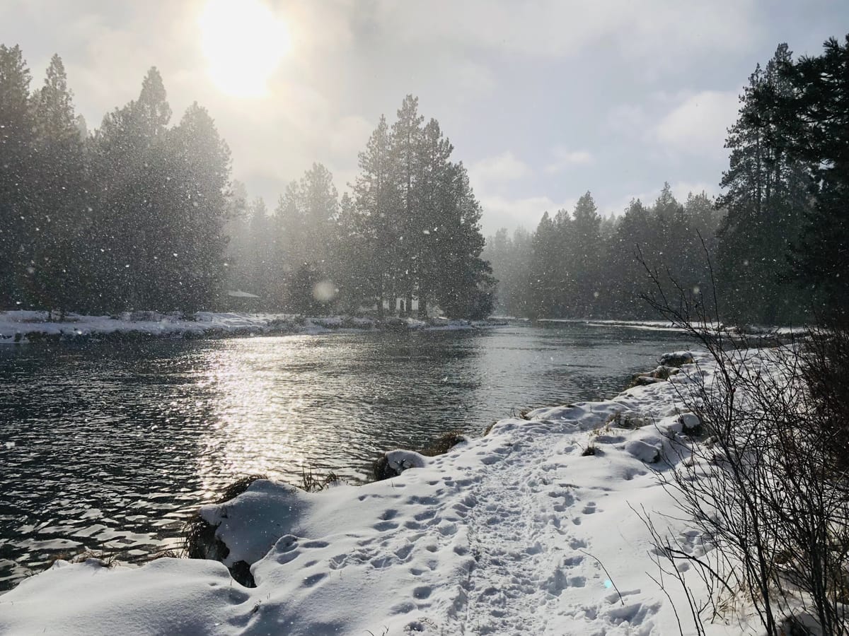 Thank you for supporting MHW