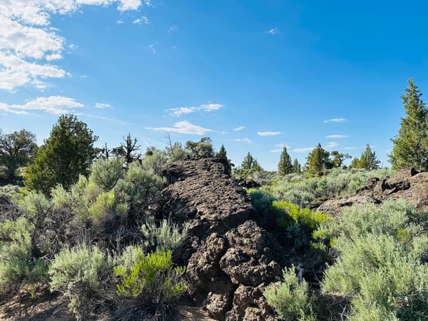 Focusing on appointments and family